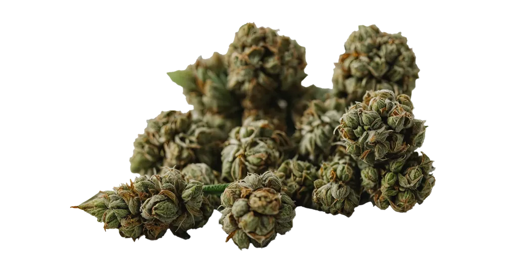 CBD