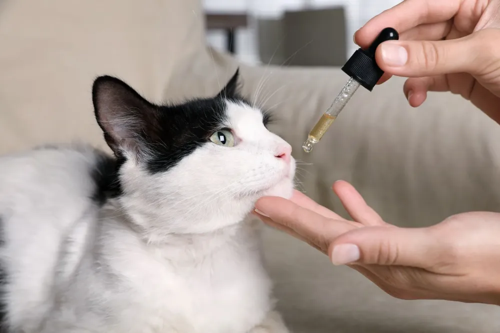 Animal CBD